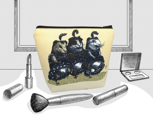 Make Up Bag