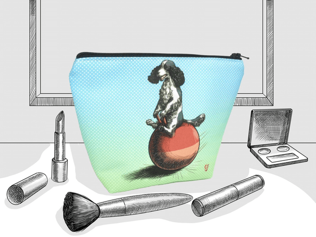 Make Up Bag